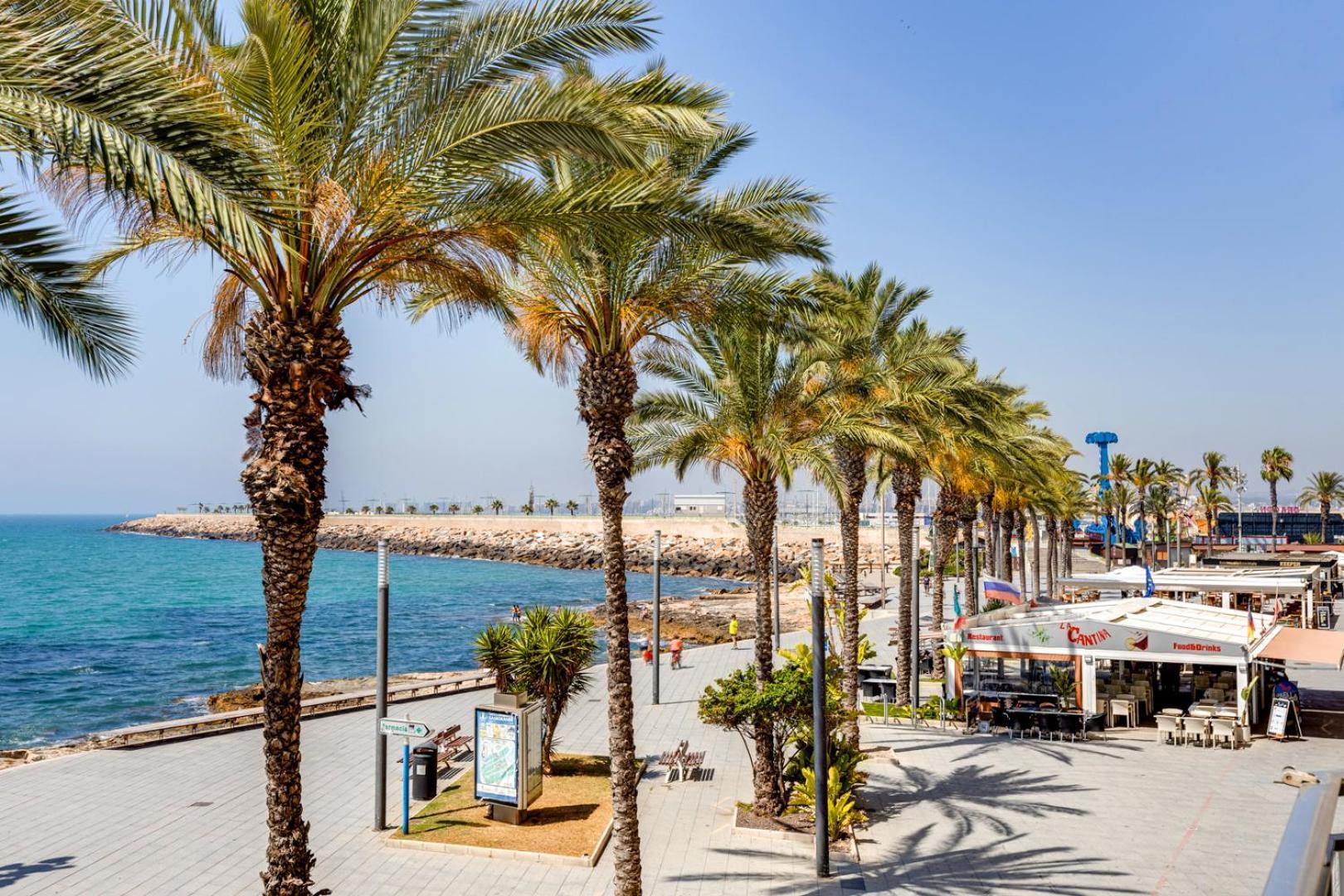 Calle Concordia 86, Two Bedroom Apartment, Up To 6 Guests, Near Del Cura Beach,Supermarket Mercadona And Central Bus Station Torrevieja Eksteriør bilde
