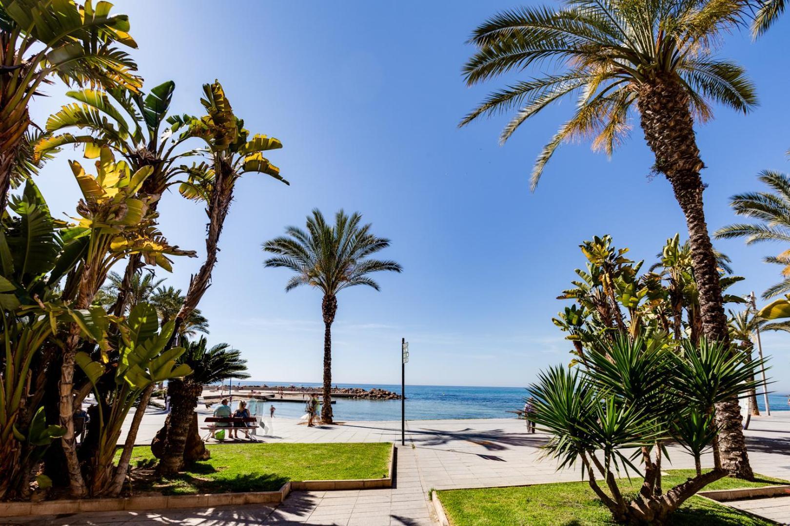 Calle Concordia 86, Two Bedroom Apartment, Up To 6 Guests, Near Del Cura Beach,Supermarket Mercadona And Central Bus Station Torrevieja Eksteriør bilde